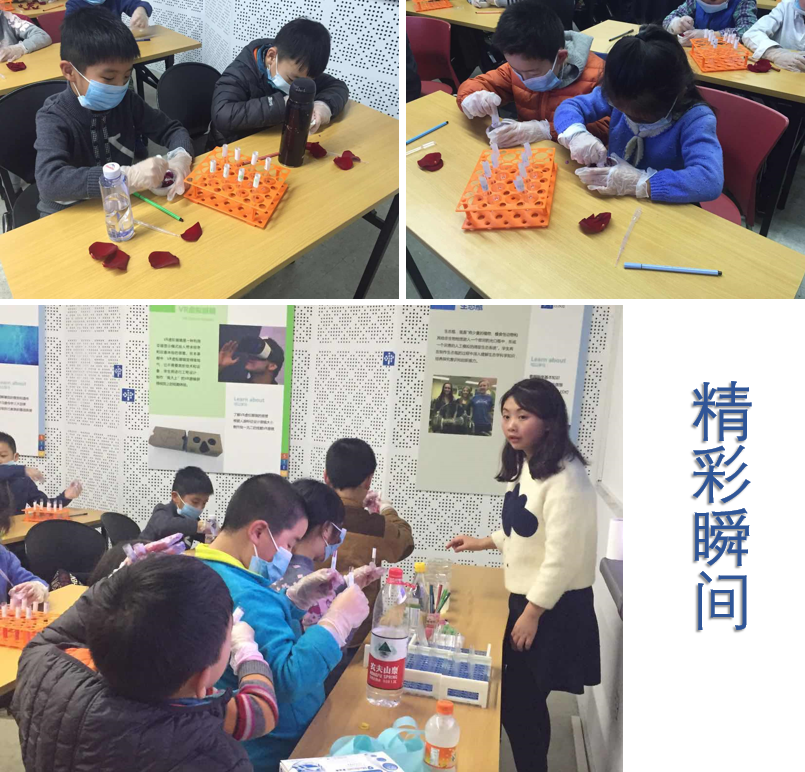图片4.png 图片4.png