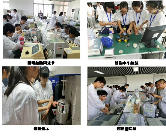 image016.png image016.png