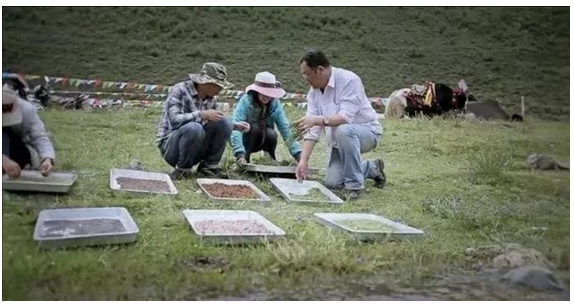 QQ截图20171025170417.png