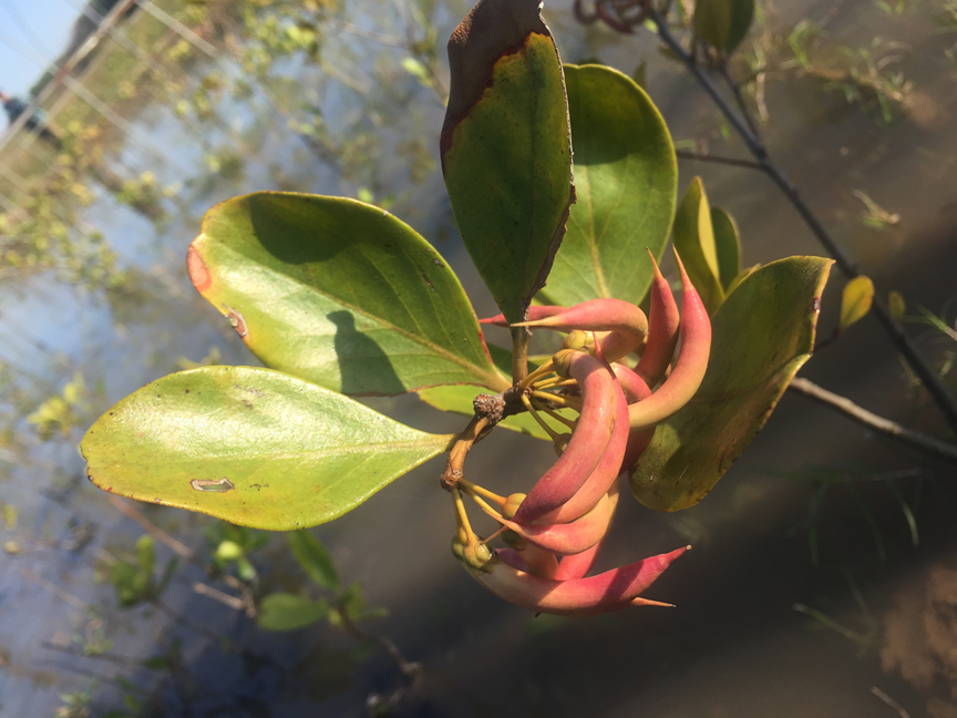 image007.png image007.png