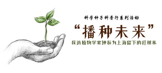 QQ截图20171025170326.png