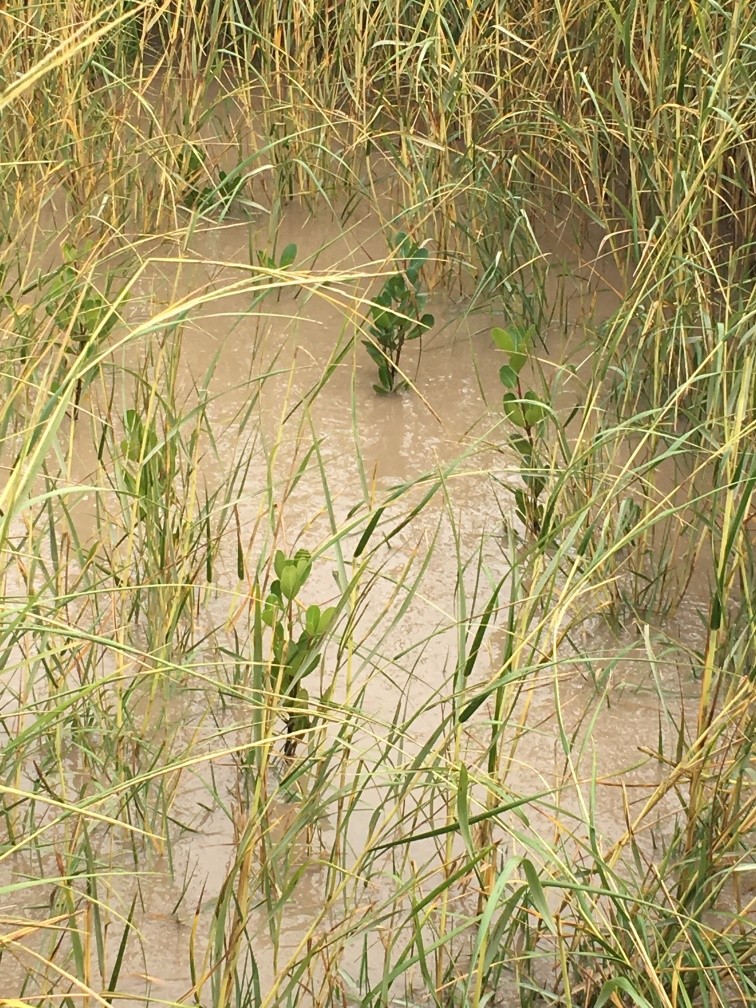 image023.jpg image023.jpg