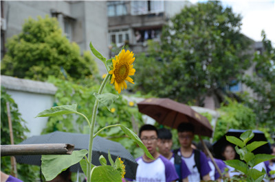 营员们进入园区参观.jpg