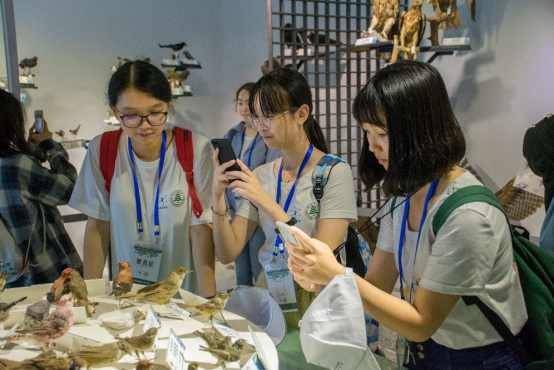【科学营感悟】外地分营精彩活动回顾—北京分营篇(一)2190.png