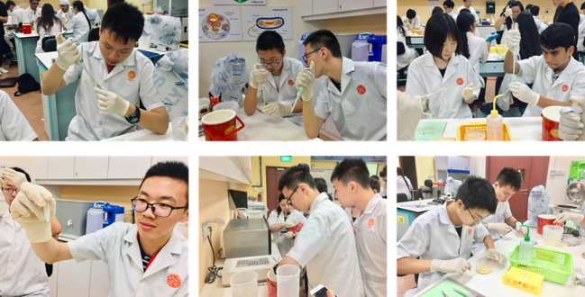 微信稿 2019年新加坡国立大学科学夏令营一周纪实346.png