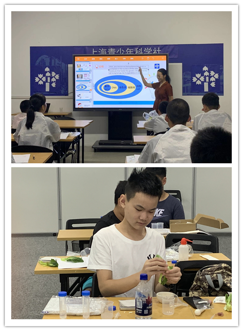 上海青少年科学社2019级创意会员首次开课精彩回顾699.png 上海青少年科学社2019级创意会员首次开课精彩回顾699.png