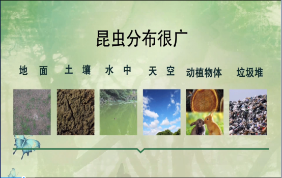 华东师大分营897.png