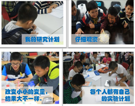 实习会员招募02.jpg 实习会员招募02.jpg