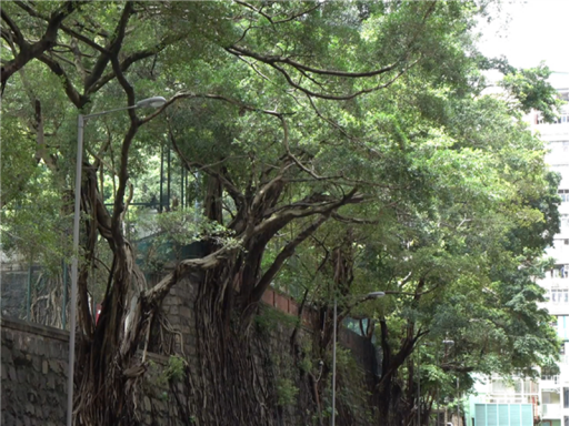 第十届全国青少年科学影像节上海地区九部优秀作品入围展映环节!1073.png 第十届全国青少年科学影像节上海地区九部优秀作品入围展映环节!1073.png