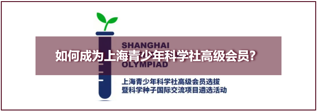 bc4ec8d1-8a83-4cde-baaf-1e8413451b37 - 副本.png
